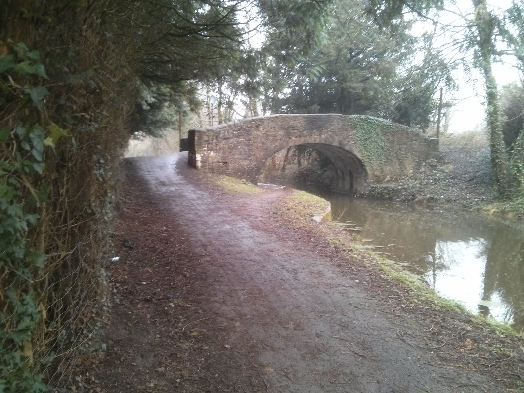 Desire line for cycling is not under the bridge but next to it.