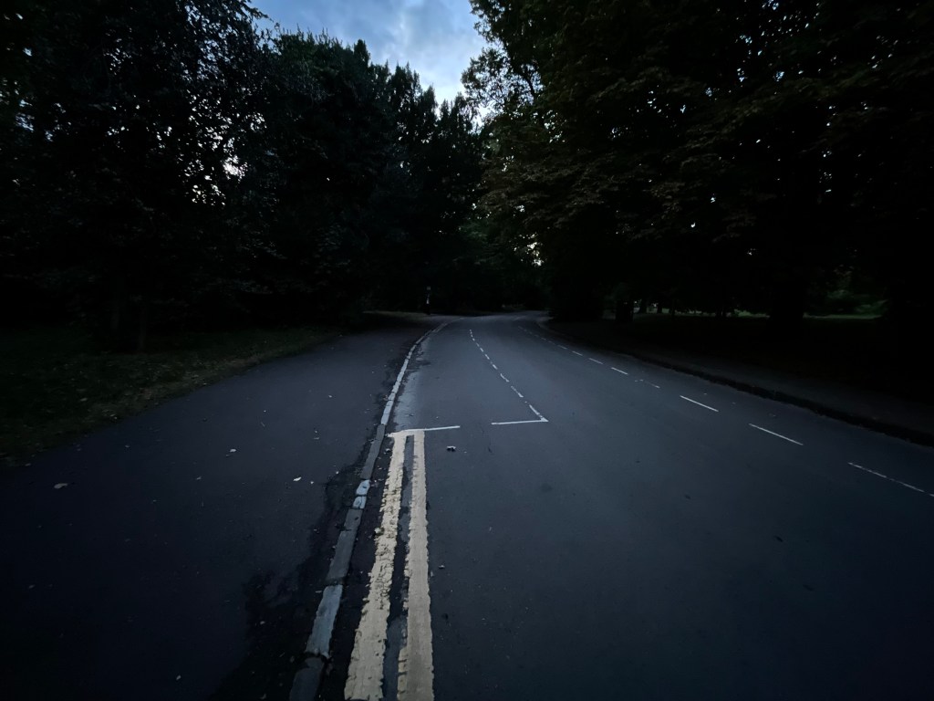 Dark road through Royal Victoria Park